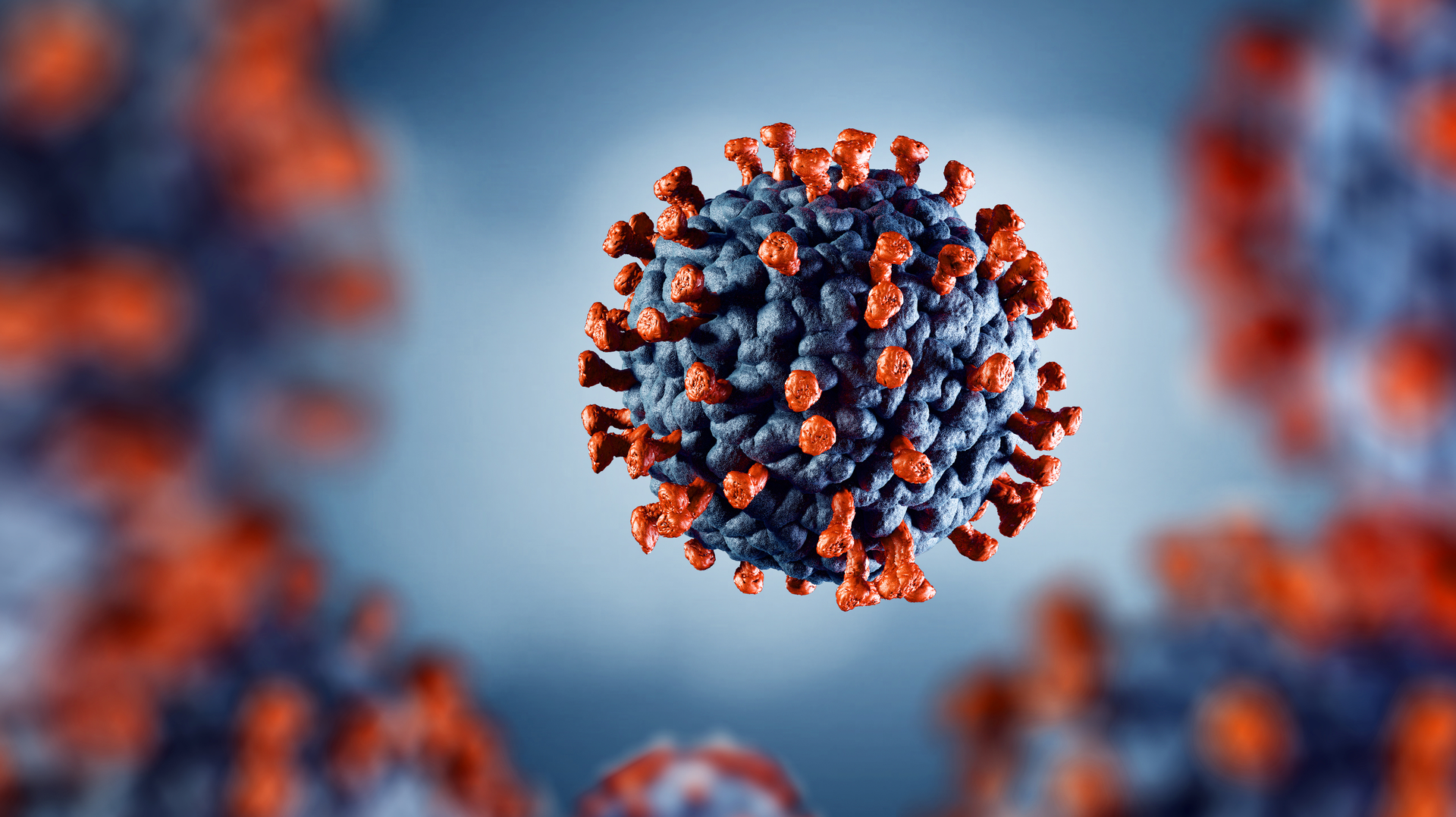 Adobe Stock 330524737 6328b2c22888b