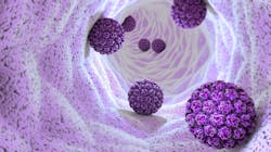 Adobe Stock 467668364 63177575d1ab0 Adobe Stock 467668364 63177575d1ab0