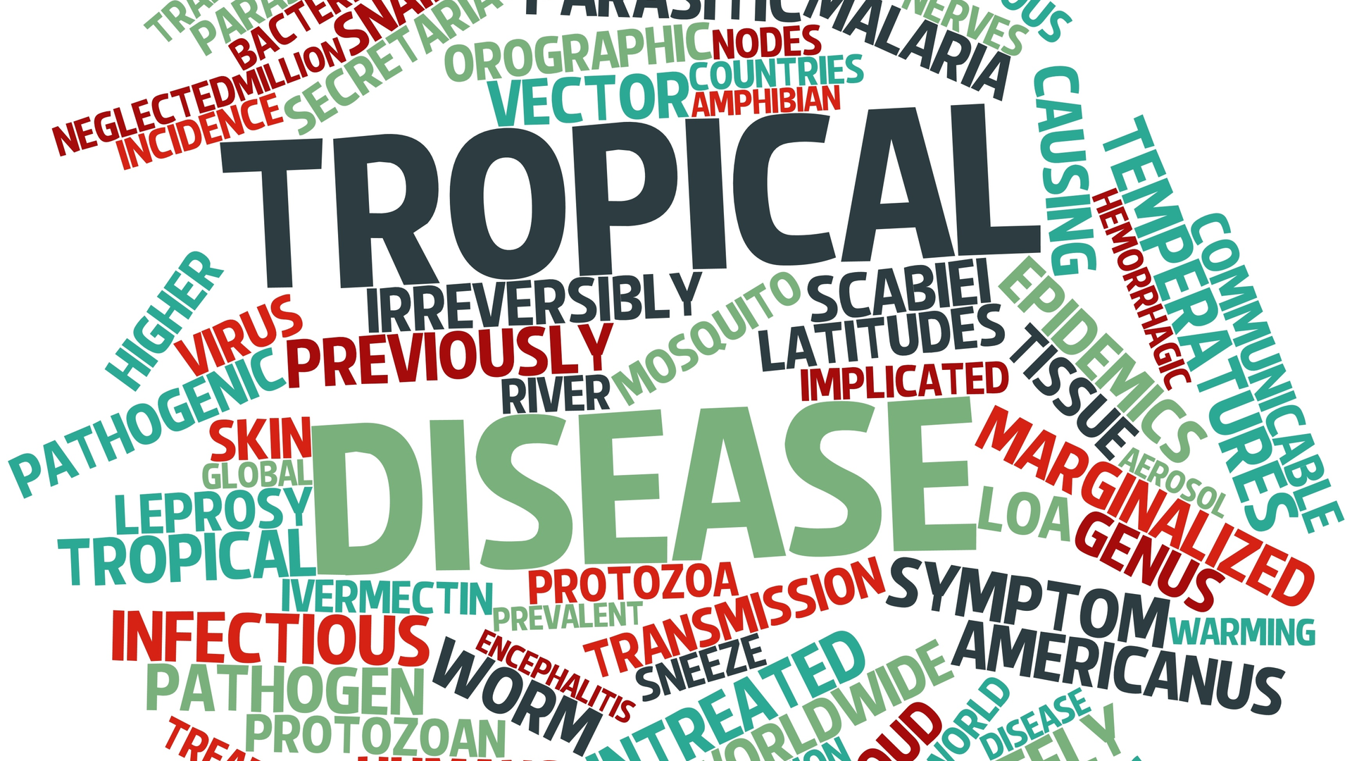 Adobe Stock 47357471 631b5701cd502