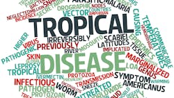 Adobe Stock 47357471 631b5701cd502 Adobe Stock 47357471 631b5701cd502