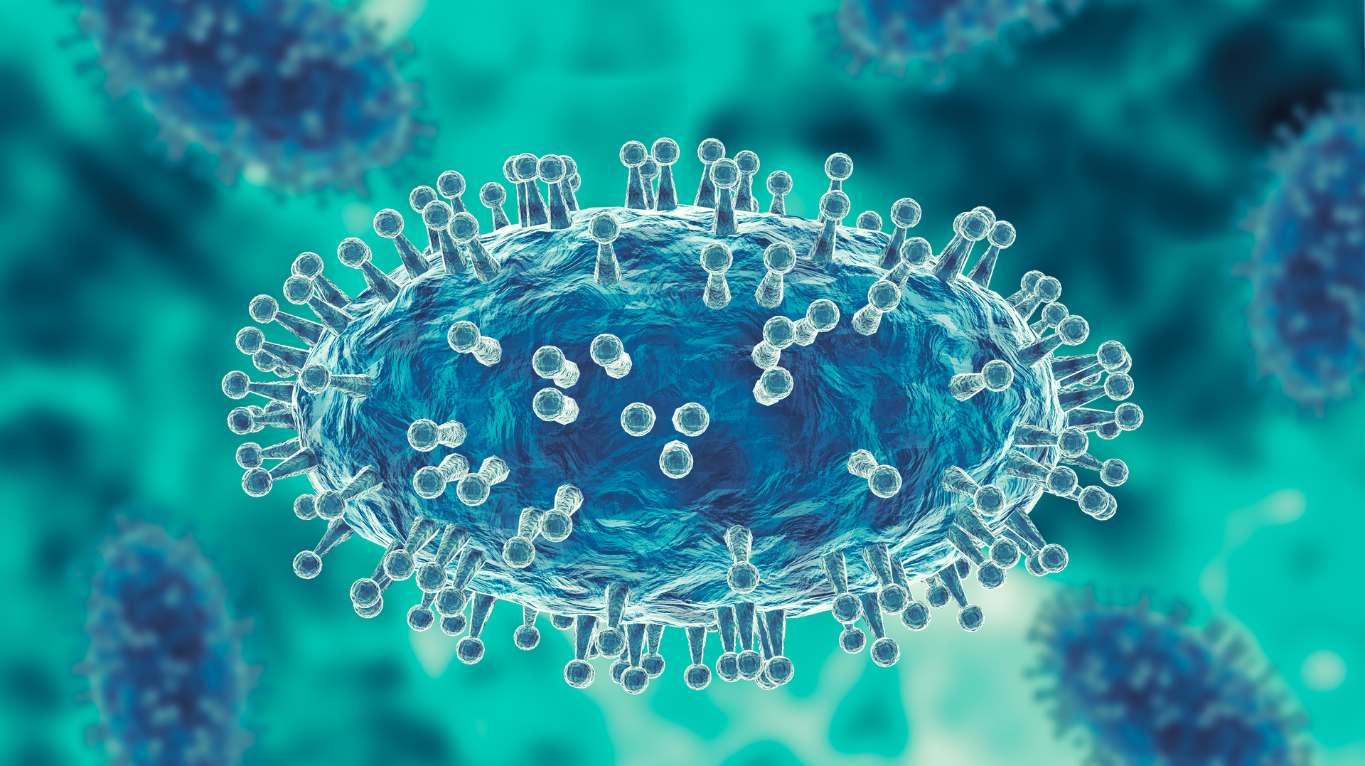 Adobe Stock 506754004 631ca715686a8