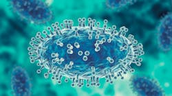 Adobe Stock 506754004 631ca715686a8 Adobe Stock 506754004 631ca715686a8