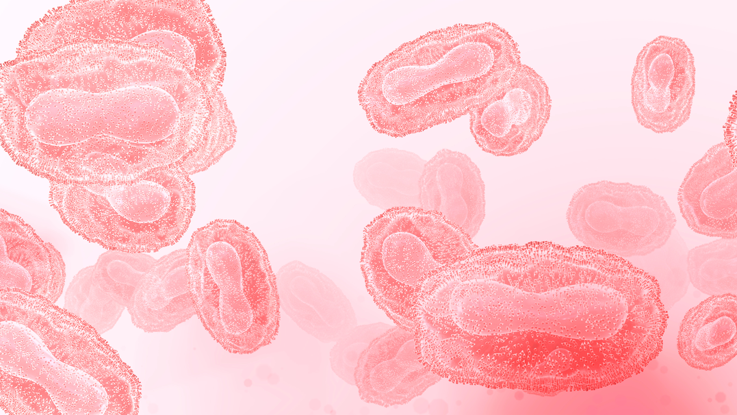 Adobe Stock 510814182 6324908866004