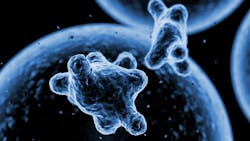 Dreamstime Xs 161786871 632c7a81cb47b Dreamstime Xs 161786871 632c7a81cb47b