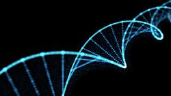 Dreamstime Xs 163943479 6334648744de2 Dreamstime Xs 163943479 6334648744de2