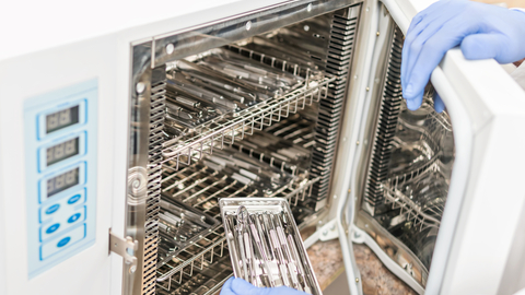 Dreamstime Xs 113713704 6349727119794