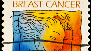 Dreamstime Xs 11510621 635a94a38ff53