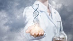 Dreamstime Xs 132863748 6355bfc19dedc Dreamstime Xs 132863748 6355bfc19dedc