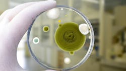 Dreamstime Xs 150909018 635a968e9407e Dreamstime Xs 150909018 635a968e9407e