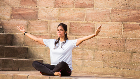 Dreamstime Xs 157164980 6352a1b28619e