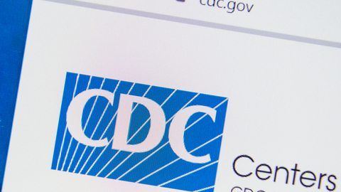 Dreamstime Xs 180826012 6352a01379b4a