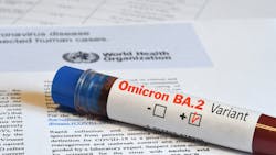 Dreamstime Xs 243920954 635a91598f518 Dreamstime Xs 243920954 635a91598f518