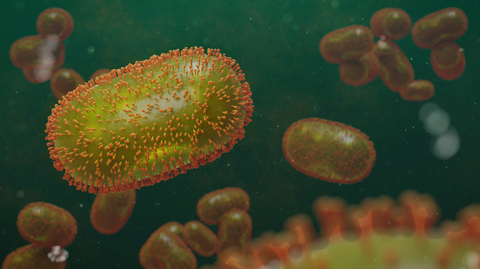 Dreamstime Xs 247993471 633ef5ecd083c