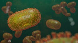 Dreamstime Xs 247993471 633ef5ecd083c Dreamstime Xs 247993471 633ef5ecd083c