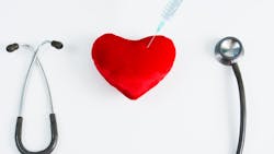 Dreamstime Xs 252028323 6350174e309fa Dreamstime Xs 252028323 6350174e309fa