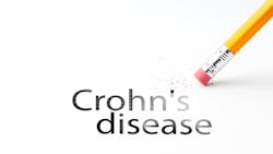 Dreamstime Xs 91135060 63458eb20e154 Dreamstime Xs 91135060 63458eb20e154