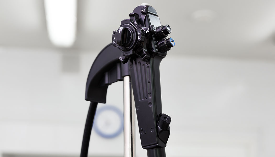 Photo Credit: Kot63 | Stock adobe