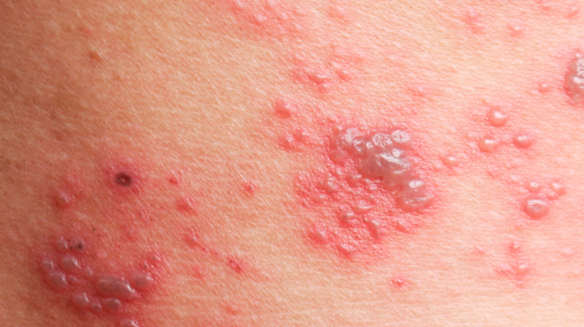 Adobe Stock 184684547 637e564e5098a