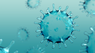 Dreamstime Xs 181072628 63628197b4c76