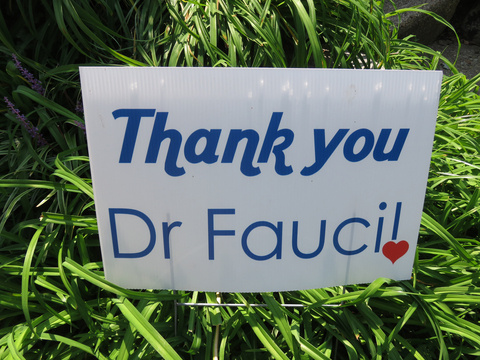 Dreamstime Xs 195540655 637fb3389b432