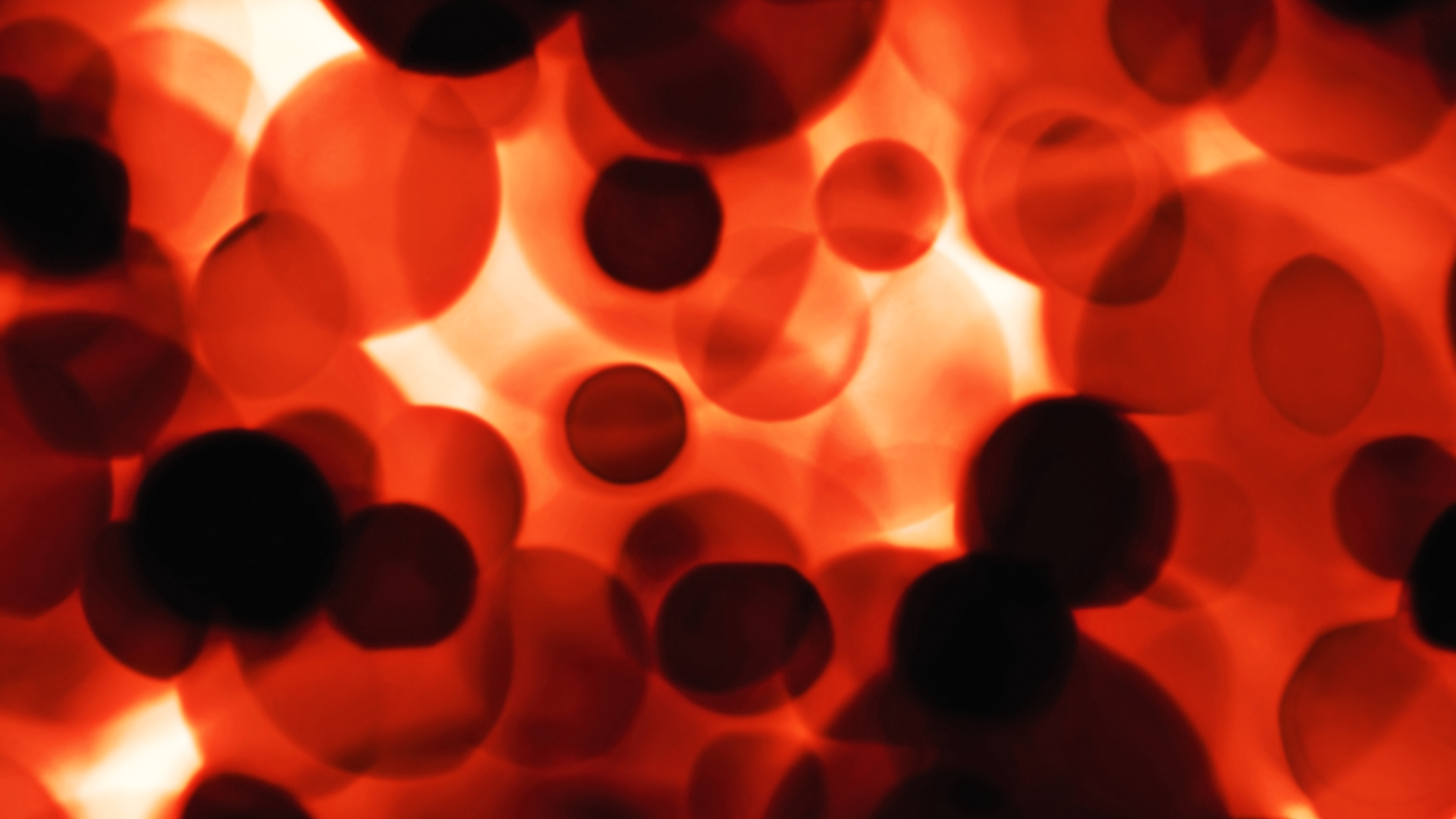 Dreamstime L 14687741 6399ed64326ca