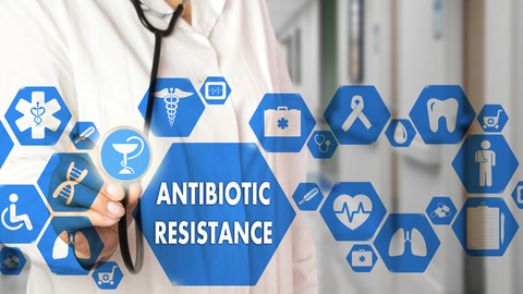 Dreamstime Xs 112470935 63ab183cec1ae