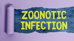 Dreamstime Xs 196749319 639cb3dca7871 Dreamstime Xs 196749319 639cb3dca7871