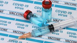 Dreamstime Xs 203819205 1 638e2c46d0dd2 Dreamstime Xs 203819205 1 638e2c46d0dd2