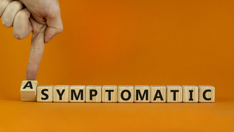 Dreamstime Xs 204951360 63adcb9672e60