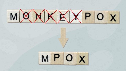 Dreamstime Xs 262259139 6388ded8f0ad4