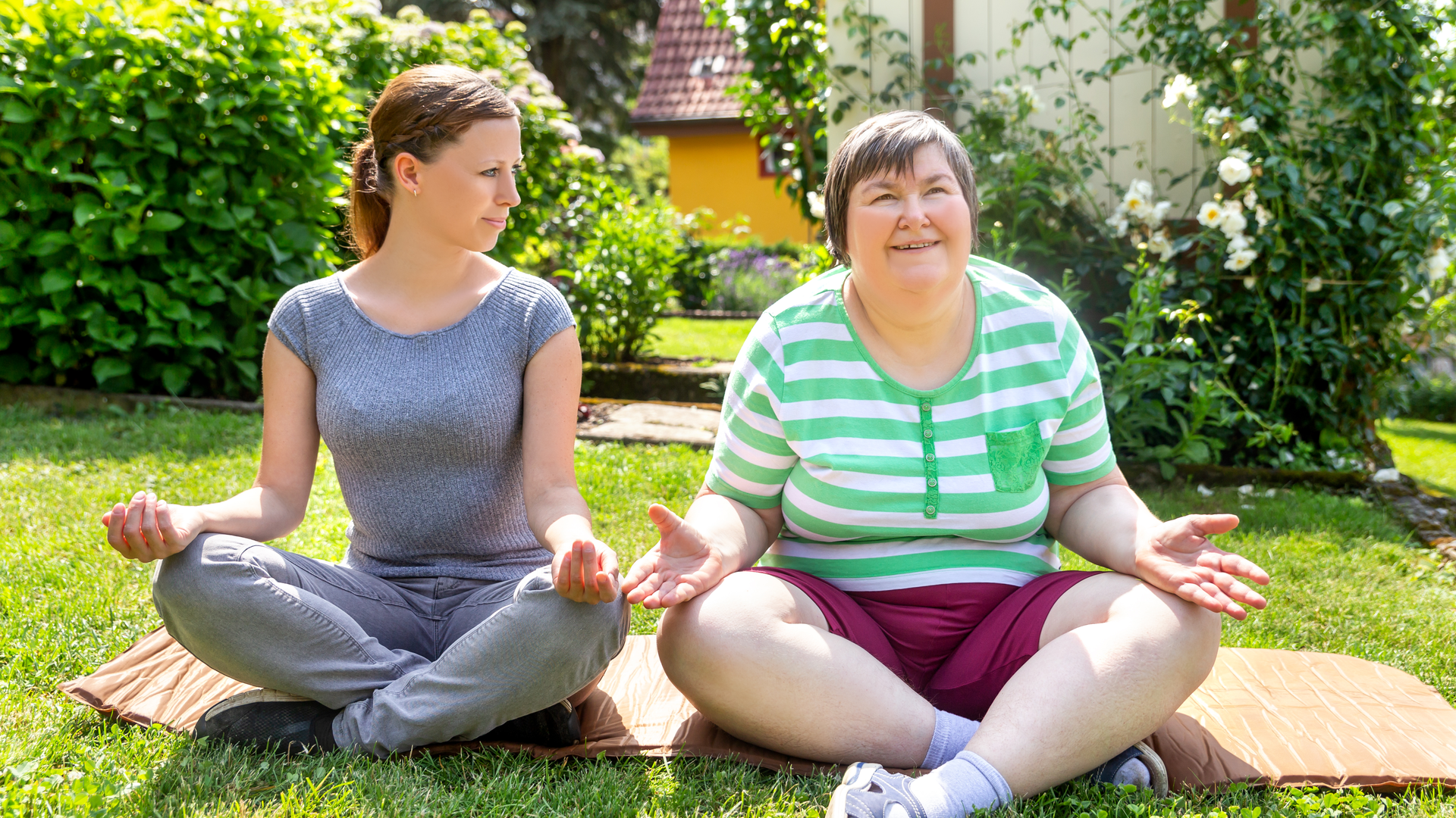 Dreamstime Xxl 118954060 63989f7708d94