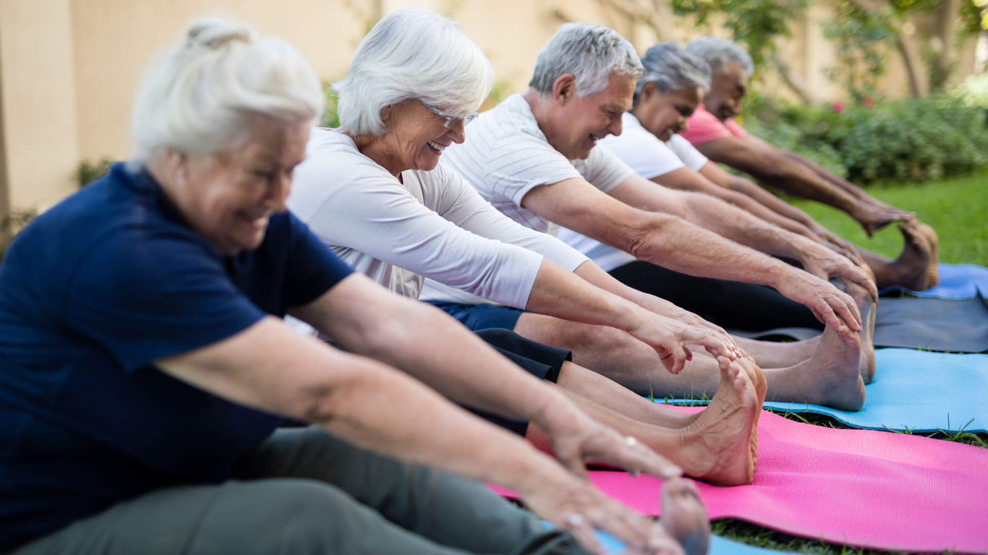 Dreamstime Xxl 96363481 6399ebd50befc