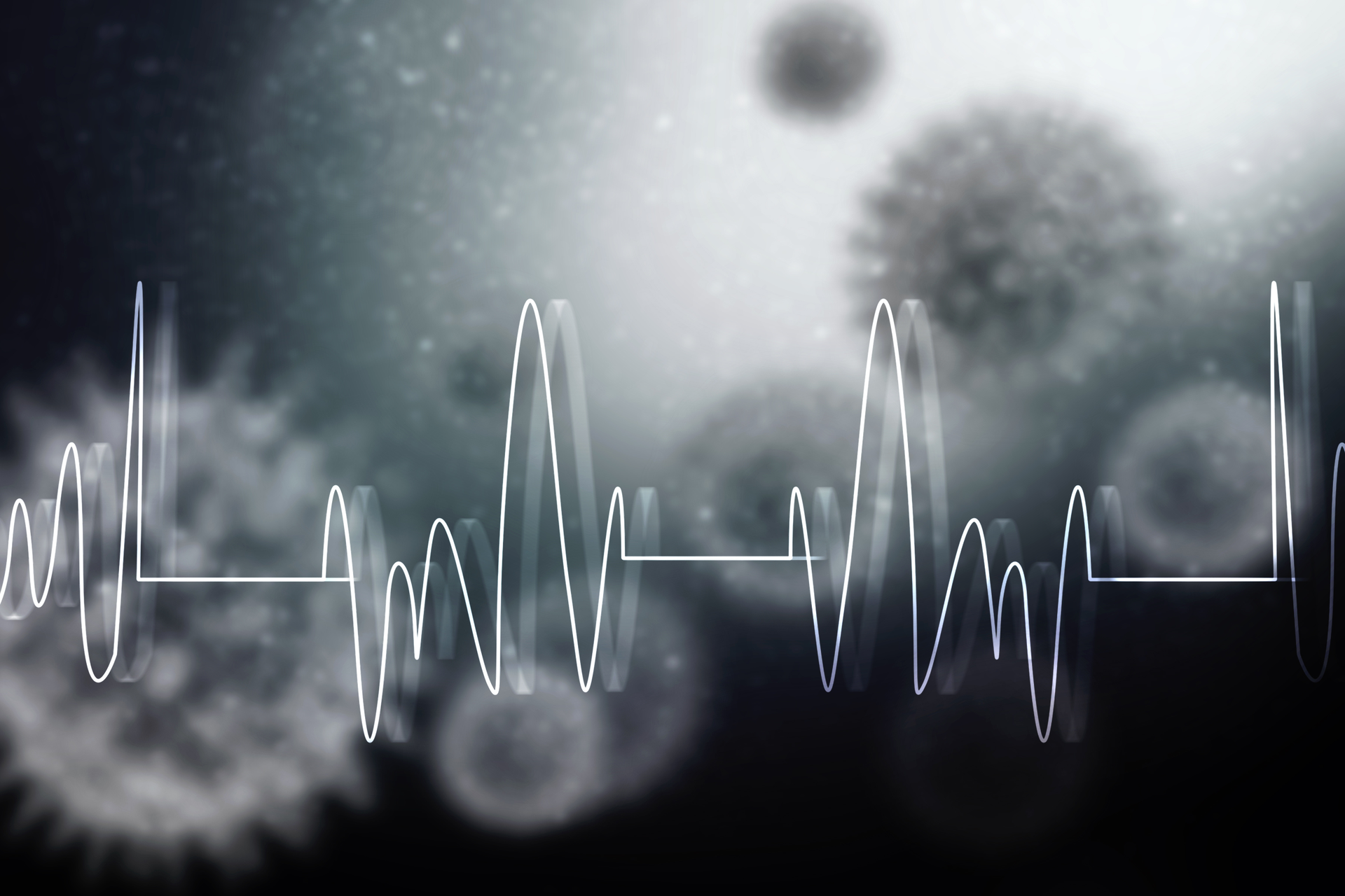 Adobe Stock 370560487 6399eac26de1a