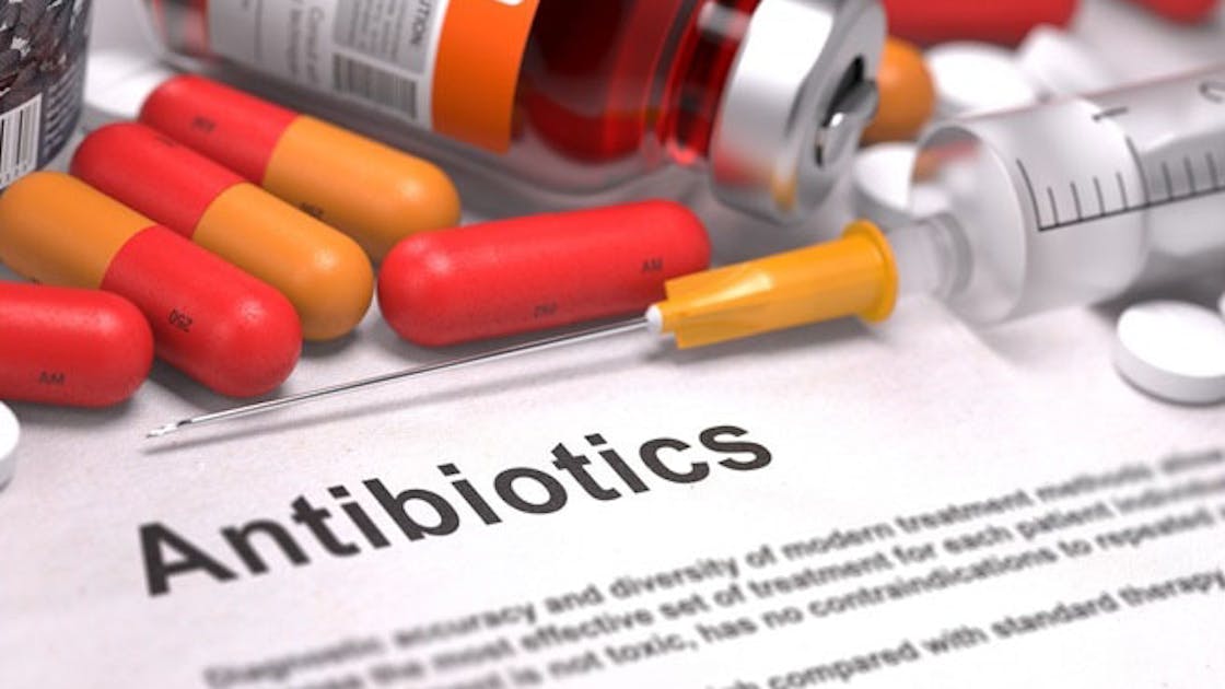 Increased Risk Of Ibd Linked To Regular Use Of Antibiotics Healthcare