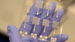 Wash State University 63c95ca9c0a1f Wash State University 63c95ca9c0a1f