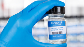 Dreamstime Xs 203958998 63c03ddf66d8e