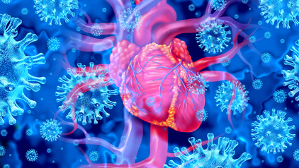 Dreamstime Xs 224103160 63b70f58d4b01