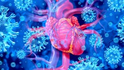 Dreamstime Xs 224103160 63b70f58d4b01 Dreamstime Xs 224103160 63b70f58d4b01