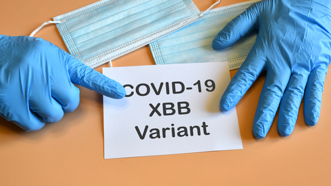 Dreamstime Xs 265124960 63b5b759dcb74