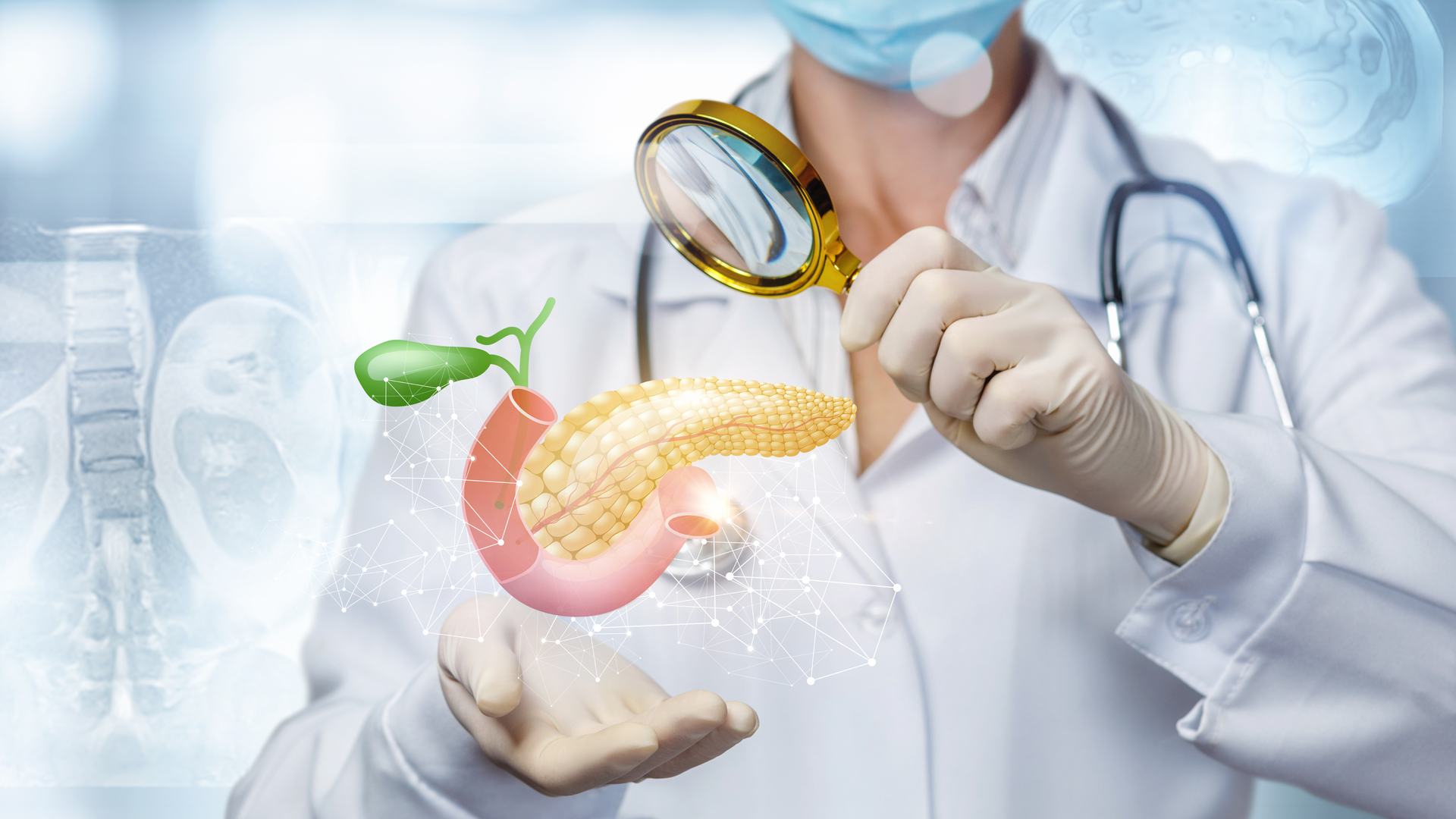 Dreamstime Xxl 155499419 63c803fabdbc0