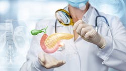 Dreamstime Xxl 155499419 63c803fabdbc0 Dreamstime Xxl 155499419 63c803fabdbc0