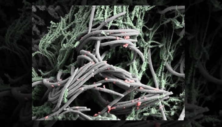 Better 63bd815a036fd