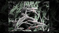 Better 63bd815a036fd Better 63bd815a036fd