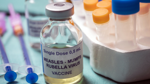 Dreamstime Xs 146292007 63f8d2536abd8