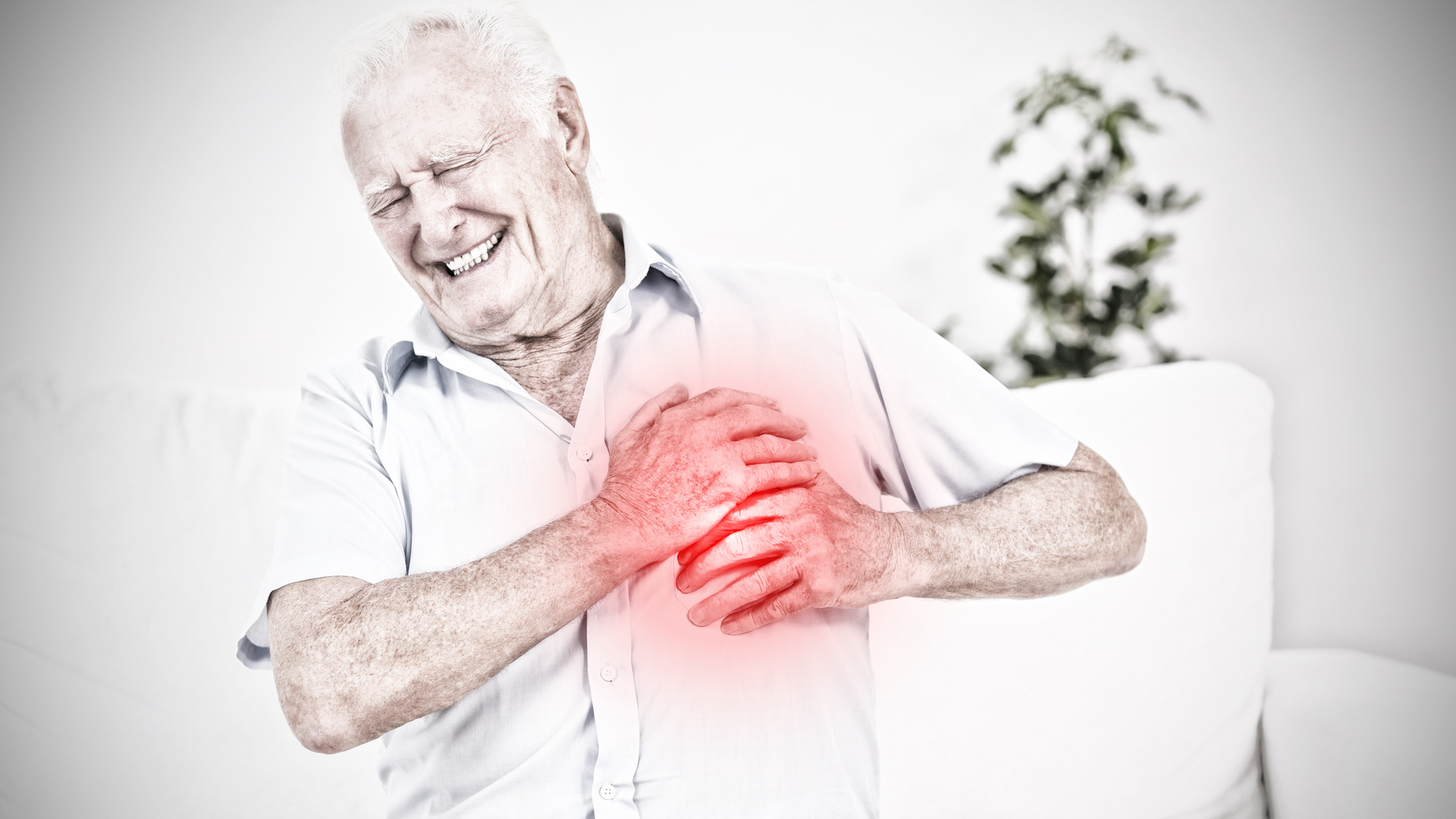 Dreamstime Xxl 125280648 63eceb9a3a678