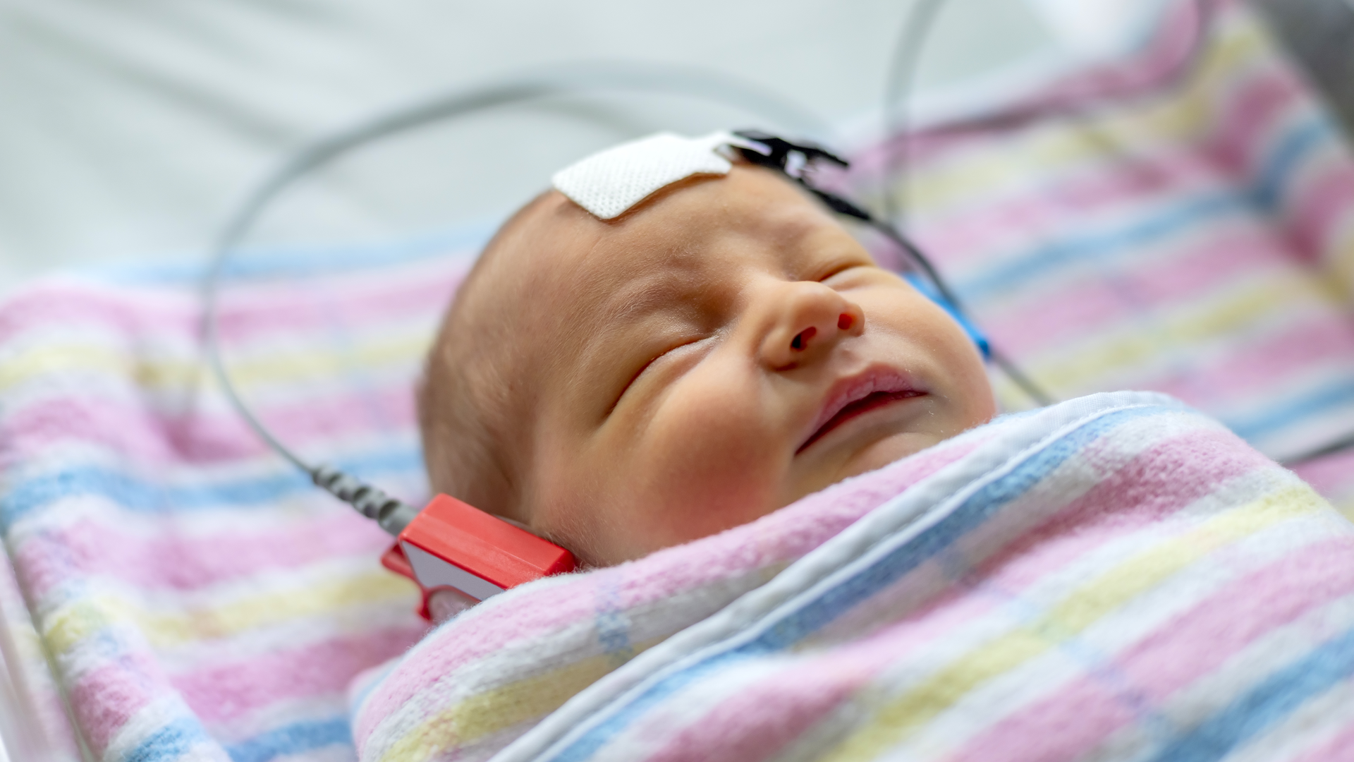 Dreamstime Xxl 132387265 63f382ff038bf