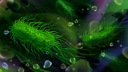 Dreamstime Xs 141805297 64139eacdd2e2