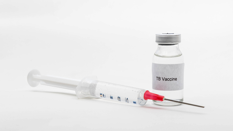 Dreamstime Xs 159848229 640b57e023004