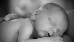 Dreamstime Xs 26917394 6425c80b569f8 Dreamstime Xs 26917394 6425c80b569f8