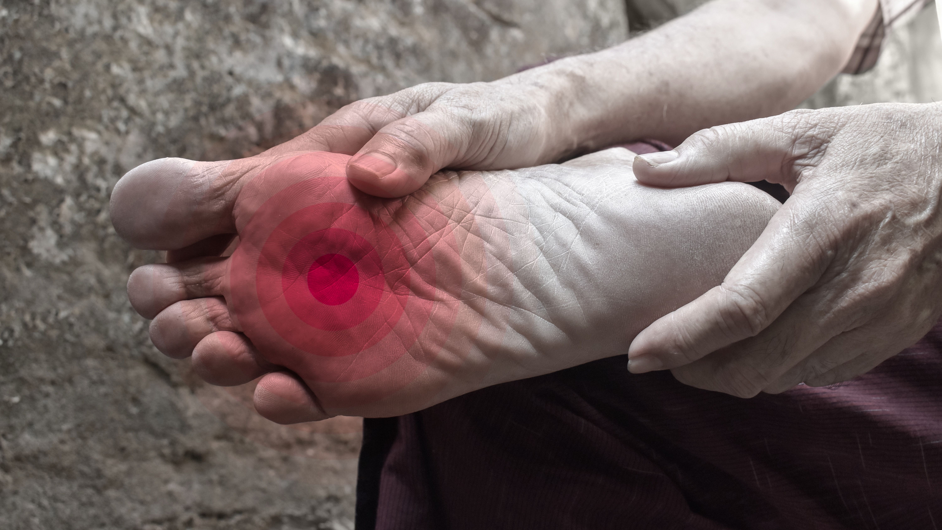 Dreamstime Xxl 245989509 63ff621f74e29